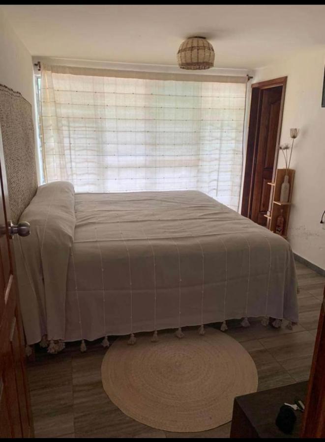 Отель Casa Grey Oaxaca Экстерьер фото